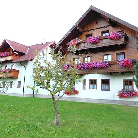 Pension Thorerhof Haus im Ennstal Exterior foto